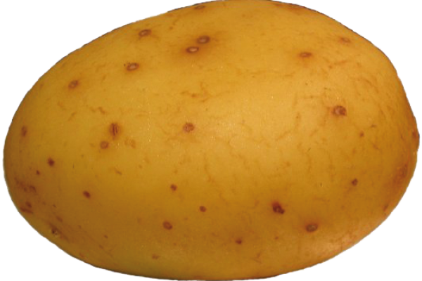 AKEBONO Industrial pelador de patatas ch-2049